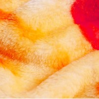 Couverture en flanelle Mexique Taco Pizza, super douce, 100% polyester, tricotée, motif personnalisé, simple, anti-boulochage, quatre saisons, pour adultes