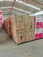 Éponge florale verte en mousse pour fleurs fraîches, fabriquée en Chine