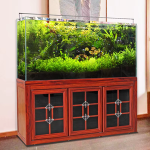 100-200Cm Custom Ultra Wit Glas Aquarium Met Bodemfilter & Waterplanten, Thuis/Kantoor Eco Landschap Aquarium, Fabriek Direct - Product Image 2