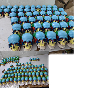 โมเดล3ส่วนกะโหลกศีรษะมนุษย์3ชิ้นทำจาก PVC แบบจำลองทางการแพทย์กะโหลกศีรษะมนุษย์ขนาดธรรมชาติที่มีสีสัน - Product Image 3