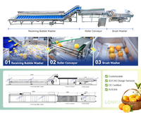 PLC Intelligente Besturing Oranje Reinigings- en Sorteermachine Fruit- en Groentewasserlijn voor vers fruit en groenten