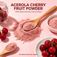 Groothandel Bulk 100% Natuurlijk Wateroplosbaar Voedingsmiddelkwaliteit Zuiver Acerola Kersen Fruitextract Poeder Rijk aan Vitamine C Halal Gecertificeerd