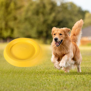 Köpek eğitim uçan diskler hafif orta büyük ırklar için interaktif Pet oyuncak agresif için uçan halka alıcı oyuncak - Product Image 1