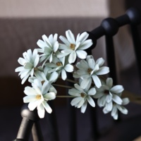 Buket Bunga Daisy Kering dari Serpihan Kayu Buatan Tangan Asal Yunnan, Ramah Lingkungan, Tahan Lama, Campuran Warna, Bunga Biji Melon untuk Interior