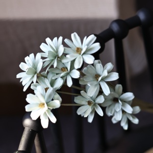 Bouquet di <span class=keywords><strong>Fiori</strong></span> Secchi Daisy Fatti a Mano di Origine Yunnan, Ecologici e Duraturi, con Scaglie di Legno e <span class=keywords><strong>Fiori</strong></span> di <span class=keywords><strong>Semi</strong></span> di Melone, Colori <span class=keywords><strong>Misti</strong></span> per Interni - Product Image 3