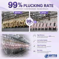 Ligne d'abattage de volailles CE 3000-15000BPH, équipement d'abattage de poulets en acier inoxydable