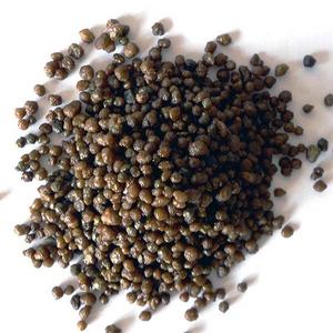 Johannesburg - Product Image 3