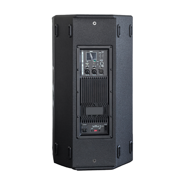 Professional LEON AUDIO 15inch Wooden Speaker RMS500W Class-D Amplifier AC Portable Outdoor DSP Active Speaker