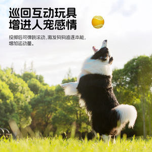 Pelota de juguete chirriante para perros pequeños con sonido, juguete de entrenamiento para mascotas, estilo lindo en colores amarillo y azul - Product Image 4