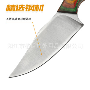 [Cuchillo recto integrado para exteriores] Cuchillo recto pequeño para cortar carne, de acero D2, con mango de madera de color, portátil. - Product Image 4