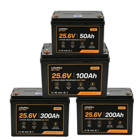 Batterie LiFePO4 à décharge profonde JIUYUNENG 25,6V 300Ah avec BMS Bluetooth, 6000 cycles, Grade A, 7680Wh, pour système solaire domestique hors réseau
