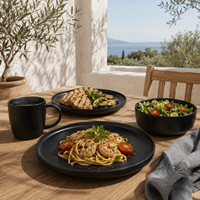 Offre Spéciale : Service de Table en Grès Noir Mat de Qualité Supérieure, Résistant à la Chaleur, Compatible Four et Lave-Vaisselle, Assiettes, Bols et Tasses pour Usage Familial