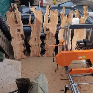 เครื่องเลื่อยไม้แบบเคลื่อนที่ขนาดเล็กเครื่องจักรอุตสาหกรรมผลิตจากประเทศจีนพร้อมเครื่องยนต์เบนซิน - Product Image 4