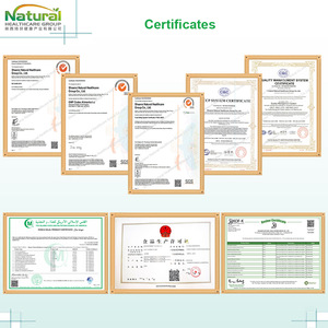 <span class=keywords><strong>GMP</strong></span> nhà máy sản xuất chất lượng tốt Natto chiết xuất chất lượng tốt Nattokinase 20000 Fu để 40000 Fu - Product Image 4