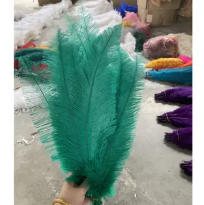 Partai Besar Bulu Burung Unta 18/20Inch Kualitas Yang Baik Dalam Hijau Colorway untuk Dekorasi Pernikahan