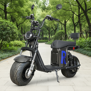 Vélo Électrique X26 à Pneus Larges pour Adulte, Style Brésilien, en Aluminium, 2000W, Batterie Lithium 60V, Capteur, Idéal Plage et Trajet Quotidien - Grande Vente - Product Image 1