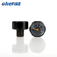 Extincteur Okefire M10 avec manomètre miniature en laiton de 19 mm, 12 bars, pompe à main à air comprimé, régulateur HPA de plongée 15g