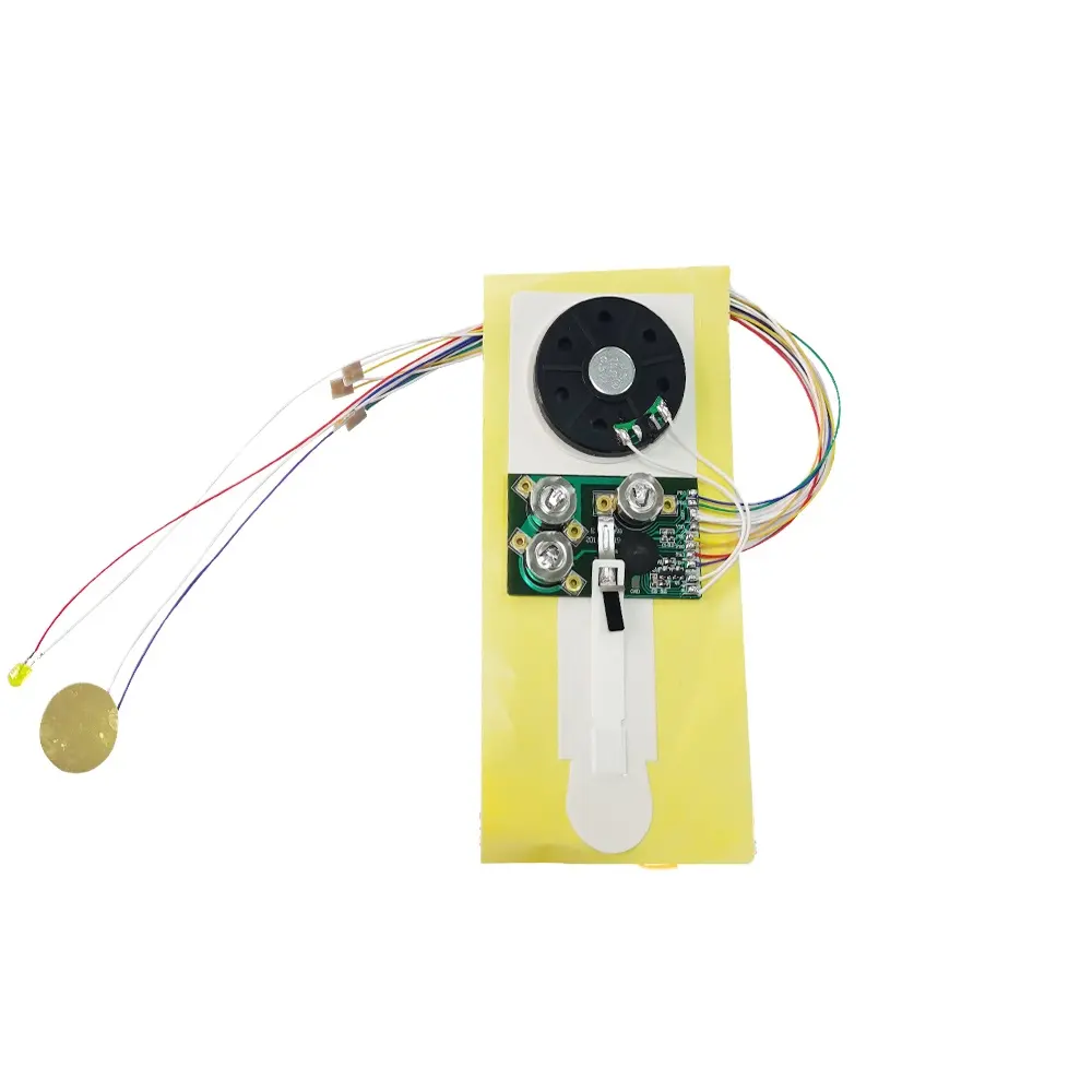 Hot Selling 30s Recording Christmas Card LED Audio Chip Greeting Card Sound Module