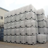 Solutions de production durables et économiques : Machines de soufflage par extrusion à double station pour réservoirs IBC en plastique HDPE