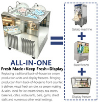 66L/H Dubbelcilinder Verticale Batchvriezer Met CE-certificaat Commerciële Ambachtelijke Gelato Hard IJs IJsmachine