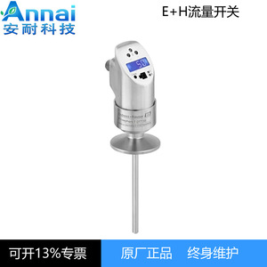 Commutateur de débit ultrasonique Andress+Hauser Flowphant T DTT31, sonde filetée 316L, IP65 IP66, débit moyen - Product Image 3