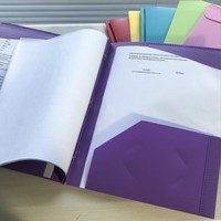 Carpeta de archivos de plástico de dos bolsillos, logotipo personalizado multicolor, con esquinas reforzadas, carpeta de archivos de 3 agujeros, gran oferta