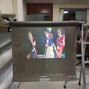 Película de Proyección Trasera para Hologramas 3D, Tela PET para Proyectores y Equipos de Presentación - Product Image 2
