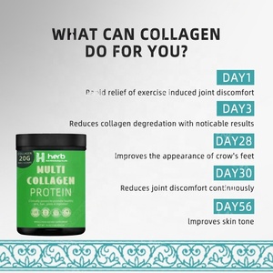Colágeno en Polvo de Marca Privada OEM/ODM, Clínicamente Probado para Promover la Salud de la Piel, el Cabello, las Articulaciones y la Digestión - Product Image 2