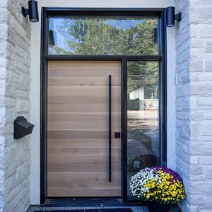 새로운 디자인 럭셔리 현대 철 보안 강철 조각 금속 아트 도어 보안 문 집