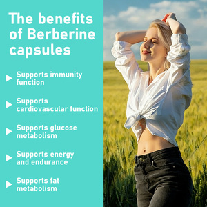 Factory Customization Berberine Hydrochloride Capsules 1500mg Food <b>Supplement</b> Traditional Digestive Support - Product Image 6