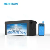 Low Temperature Lifepo4 Lithium Ion Car Battery with APP Control