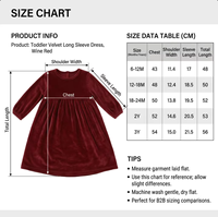 Robe trapèze en velours rouge bordeaux à manches longues pour filles, avec logo personnalisé, idéale pour les fêtes d'automne, vêtements de luxe basiques pour enfants, vente en gros B2B