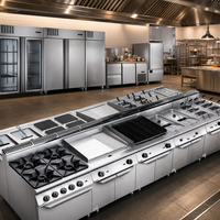 Offre Spéciale : Découvrez nos ustensiles et équipements de cuisine pour hôtels étoilés / Équipements de cuisine pour restaurants et buffets à vendre