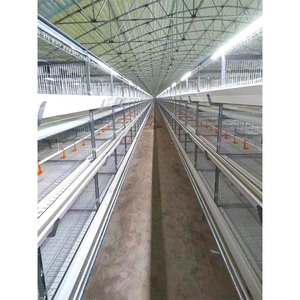 H Type Couche Poulet Poules <span class=keywords><strong>Cage</strong></span> Ferme De Volaille Mangeoire Poussins Rôtissoire Équipement Automatique Batterie Tiré Poulailler Maison - Product Image 3