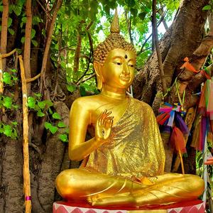 El yapımı altın bronz buda heykeli yaşam boyutu satmak için - Product Image 1