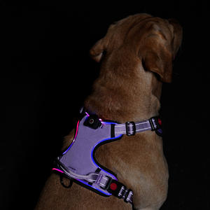 QQPETS Luxury LED Light-Up 3 piezas <span class=keywords><strong>Collar</strong></span> de perro Correa Arnés Set Custom Night Pet Walks Estilo de moda Transpirable Nylon Goma - Product Image 5