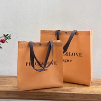 Bolsas de Tela No Tejida Personalizadas para Capacitación, Escuelas, Instituciones Educativas, Publicidad y Promoción, con Logotipo Impreso