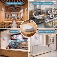 Piège à insectes commercial super silencieux à colle anti-moustiques pour restaurants et cuisines – Attrape-insectes écologique et sûr