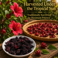 Fleur d'hibiscus séchée en gros 500g OEM Marque privée Matière première pour tisane naturelle Fournisseur d'usine en sac