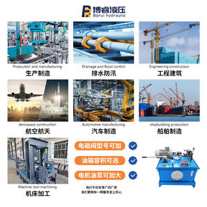 ปั๊มไฮดรอลิกและชุดประกอบที่ปรับแต่งได้ รวมถึงปั๊มแบบแมนนวลและอุปกรณ์เสริมสถานีพลังงานสำหรับสถานการณ์หลากหลาย - Product Image 4