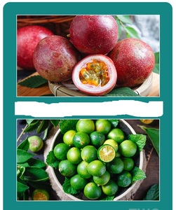 Sachets de Thé aux Fruits Bio Mixtes 10g*20 Sachets Kumquat et Fruit de la Passion Antioxydants Sains Emballage en Vrac - Product Image 6