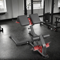Équipement de gymnastique à domicile professionnel nouveau Design Extension du dos banc et support en métal de fitness commercial musculation utiliser la salle de sport à la maison