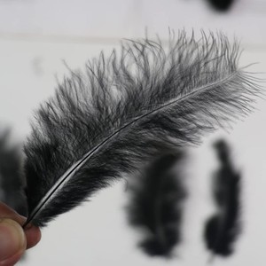 200 Uds 4-6 pulgadas <span class=keywords><strong>plumas</strong></span> negras de pavo esponjoso <span class=keywords><strong>para</strong></span> manualidades <span class=keywords><strong>atrapasueños</strong></span> flecos adorno <span class=keywords><strong>plumas</strong></span> de colores Paquete de accesorios - Product Image 3