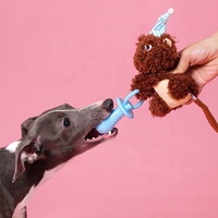 Jouet en peluche pour chien en forme d'écureuil bébé, durable, couineur, interactif, avec sucette, pour chiots et chiens de petite et moyenne taille