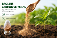 Bacillus Amyloliquefaciens Poudre Brune 100 Milliards UFC/g Engrais Biologique Soluble dans l'Eau pour la Santé du Sol et l'Agriculture Biologique 2