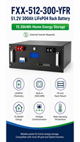 Batería de Almacenamiento de Energía LiFePO4 de 200A con BMS Inteligente para Montaje en Rack, 51.2V 300Ah 15.36kWh, Larga Vida Útil, Múltiples Puertos de Comunicación