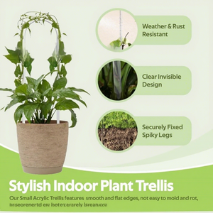 Support de plante en acrylique, support de fleurs, treillis pour plantes en pot, piquet décoratif, multi-usage, durable, LTJY - Product Image 5