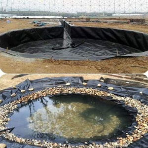 Soldes d'été : Géomembrane HDPE bleue de 2,0 mm pour bassin salé au Chili – Revêtement de barrage HDPE Fiyat - Product Image 6