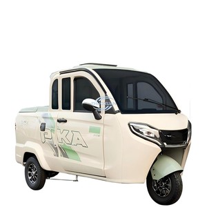 Vente directe du fabricant de tricycle électrique à 2 portes avec benne pour 200 kg de marchandises - Product Image 2