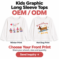 T-shirt à manches longues pour filles, imprimé chien de dessin animé, col rond, pour tout-petits et enfants, vente en gros OEM ODM